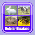 程序图标：Belajar Membaca Binatang
