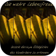 程序图标：Lebensfreude App
