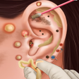 Programın simgesi: Tattoo  Ear Wax Salon ASM…