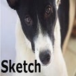 أيقونة البرنامج: Sketch