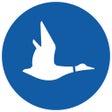 أيقونة البرنامج: Blue Duck Scooter