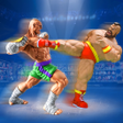 Icon of program: Superhero Karate Fighter …