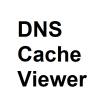 DNS Cache Viewer