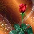 Ikona programu: Roses Live Wallpaper