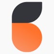 Ikon program: belinu
