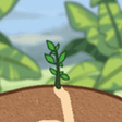 Get rich by planting trees icon