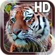 Icon of program: Tiger Live Wallpaper