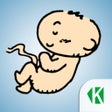 程序图标：Беременность по неделям K…