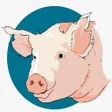 Animal Weight- Pigs and cattle icon