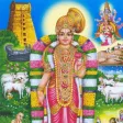 திருப்பாவை / Thiruppavai (Audio/Lyrics/Meaning)