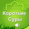 程序图标：Короткие суры Корана