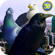 Ícone do programa: City Birds Simulator