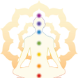 程序图标：Adora AA=> Acupuncture As…