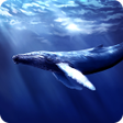 Programın simgesi: Blue Whale Revange