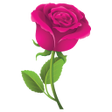 プログラムのアイコン：Pegatinas de Rosas WAStic…