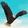 程序图标:Bird Battle Simulator
