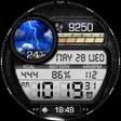Иконка программы: Classis Retro Weather Dig…