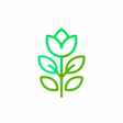 Programikonen: Plant  Mushroom ID: AI Ca…