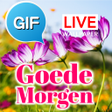 Icoon van programma: Dutch Good Morning Good D…