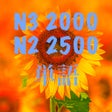 プログラムのアイコン：N3 N2 単語
