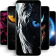 أيقونة البرنامج: Black Wallpapers