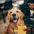 程序图标：Jigsaw Go - Classic Jigsa…