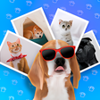 プログラムのアイコン：Pets photo editor