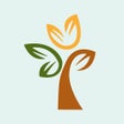 程序图标：Seasons FCU Mobile Money