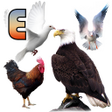 プログラムのアイコン：Learn Birds Names