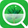 Plant Scanner  Identification