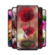 程序图标：Rose Wallpapers: Red Pink…