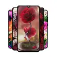 Rose Wallpapers: Red Pink Or