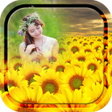 Icon of program: Sunflower Photo Frames