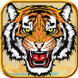 Icon of program: Long Hổ Đệ Nhất