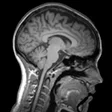 程序图标：Understanding Medical Sca…