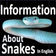 Types Of Snakes - Snake Species - ENGLISH