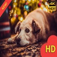 程序图标：Christmas Dogs Wallpaper …