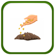 程序图标：How to Plant Vegetables