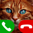 プログラムのアイコン：fake call cat game