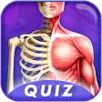 Human Body Anatomy Quiz 2022
