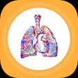 ไอคอนของโปรแกรม: Pulmonary Hypertension
