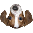 Ícone do programa: FrankerFaceZ Nightly