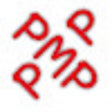 Icon of program: PMP Success