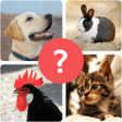 Icon of program: Animal Quiz - Guess Anima…
