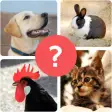 Animal Quiz - Guess Animal