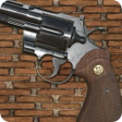 Icona del programma: Russian Roulette