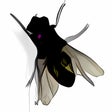 Icon of program: Fly on Desktop