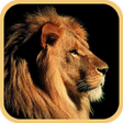 Programın simgesi: Animal Sounds