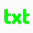程序图标: txt