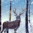 Иконка программы: Winter Forest Live Wallpa…